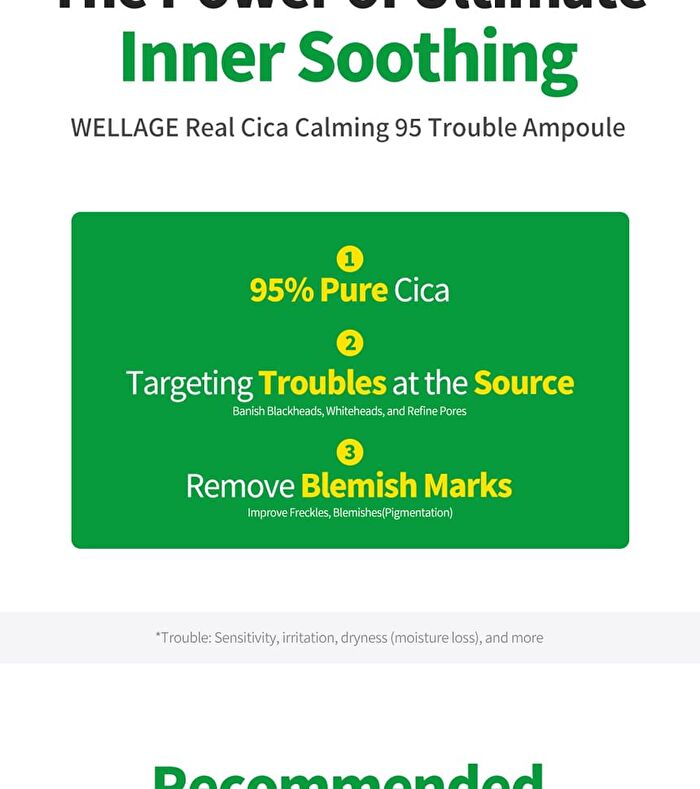 Wellage Real Cica Calming 95 Trouble Ampoule - 50ml