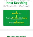 Wellage Real Cica Calming 95 Trouble Ampoule - 50ml