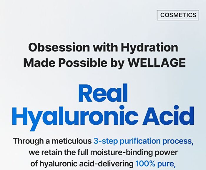 Wellage Real Hyaluronic Glow Booster PDRN Mask - 38g x 1 sheet