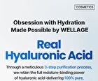 Wellage Real Hyaluronic Glow Booster PDRN Mask - 38g x 1 sheet