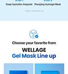 Wellage Real Hyaluronic Glow Booster PDRN Mask - 38g x 1 sheet