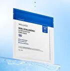 Wellage Real Hyaluronic Glow Booster PDRN Mask - 38g x 1 sheet