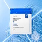 Wellage Real Hyaluronic Glow Booster PDRN Mask - 38g x 1 sheet