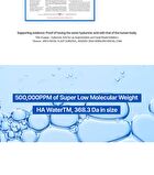 Wellage Real Hyaluronic 100 Cream - 80ml