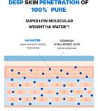 Wellage Real Hyaluronic 100 Cream - 80ml