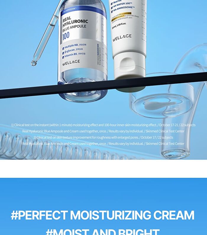 Wellage Real Hyaluronic 100 Cream - 80ml