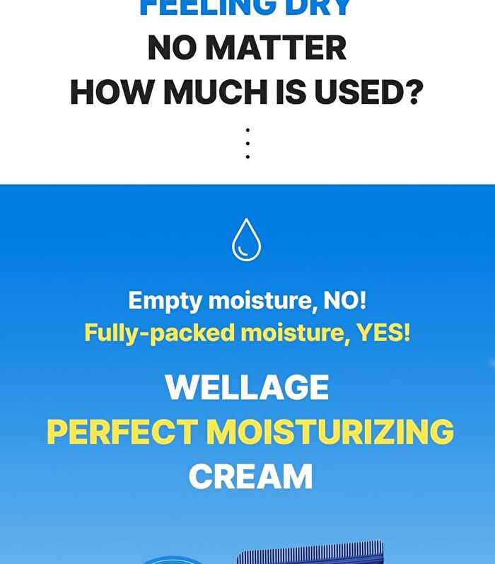 Wellage Real Hyaluronic 100 Cream - 80ml