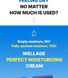 Wellage Real Hyaluronic 100 Cream - 80ml