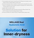 Wellage Real Hyaluronic 100 Toner - 200ml