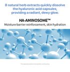 Wellage Real Hyaluronic One Day Kit Set - 7 sets