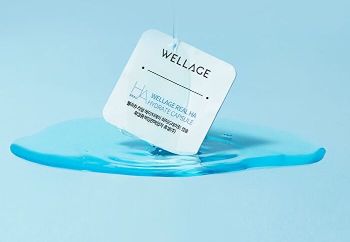 Wellage Real Hyaluronic One Day Kit - 1 set
