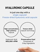 Wellage Real Hyaluronic One Day Kit - 1 set