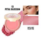 Blush Mono : Soft Matte - 8 Colors - #14 One More Time - 4.8g
