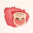 Blush Mono Frost : Reflective Shimmer - 8 Colors - #F06 Pinky Ice - 4.8g