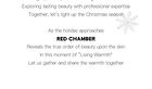Red Chamber Christmas Limited Wandering Multi-Purpose Stick - #S101 Blazing - 4.8g