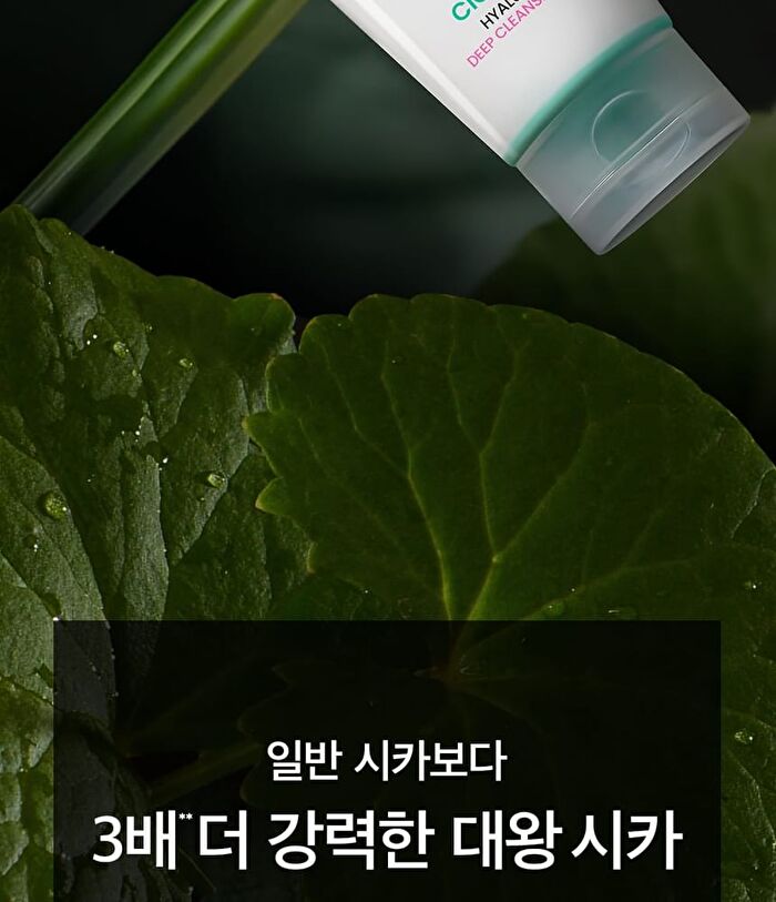 Cicaterol Hyaluronic Deep Cleansing Foam - 120ml