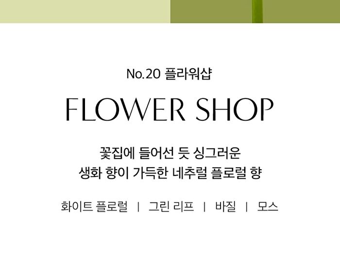 Perfume Body Lotion - 5 Types - #10 October Woody