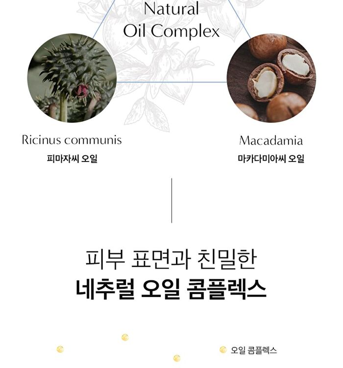 Perfume Body Lotion - 5 Types - #10 October Woody