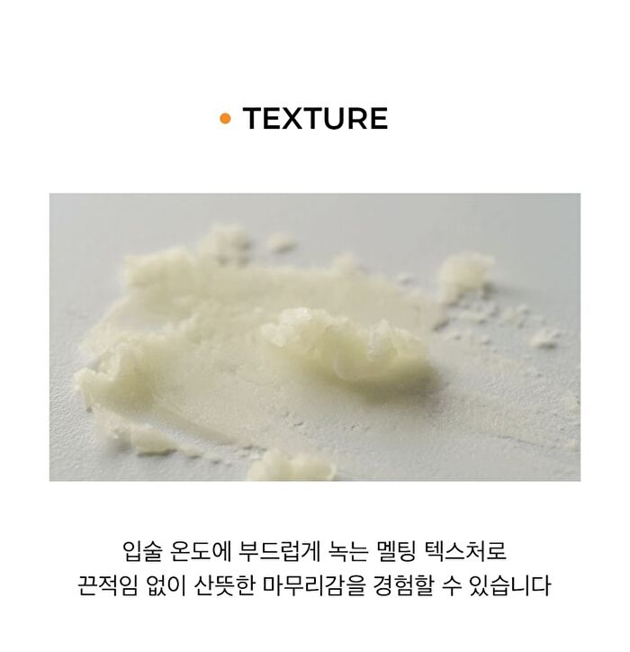 Moist Lip Protector - 10g
