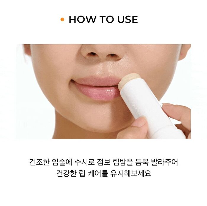 Moist Lip Protector - 10g