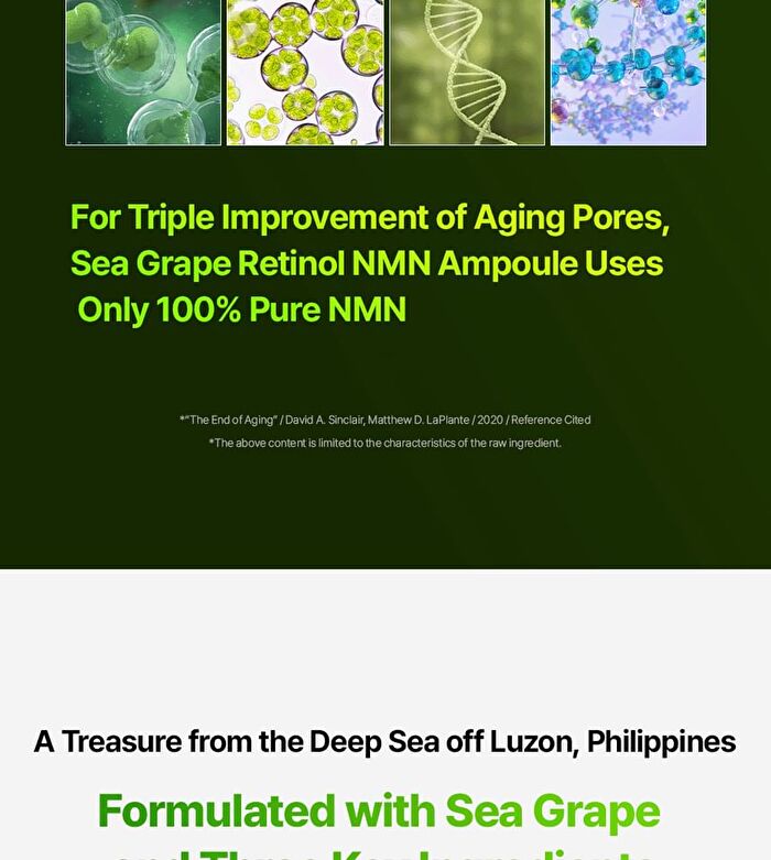 Sea Grape Pore Lifting Retinol Ampoule - 50ml