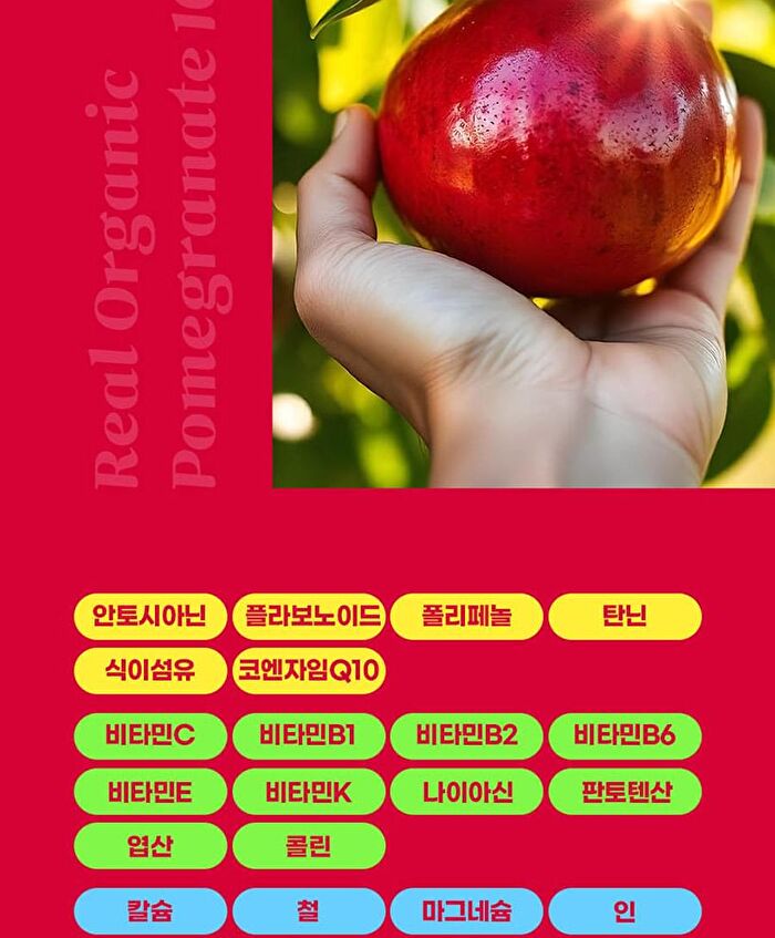 Premium NFC Juice Real Organic Lemon Pomegranate 100% - 20g x 14 sticks