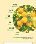 Premium NFC Juice Real Organic Lemon Pomegranate 100% - 20g x 14 sticks