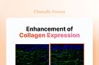 Cosrx 5 PDRN Collagen Intense Vitalizing Serum - 100ml