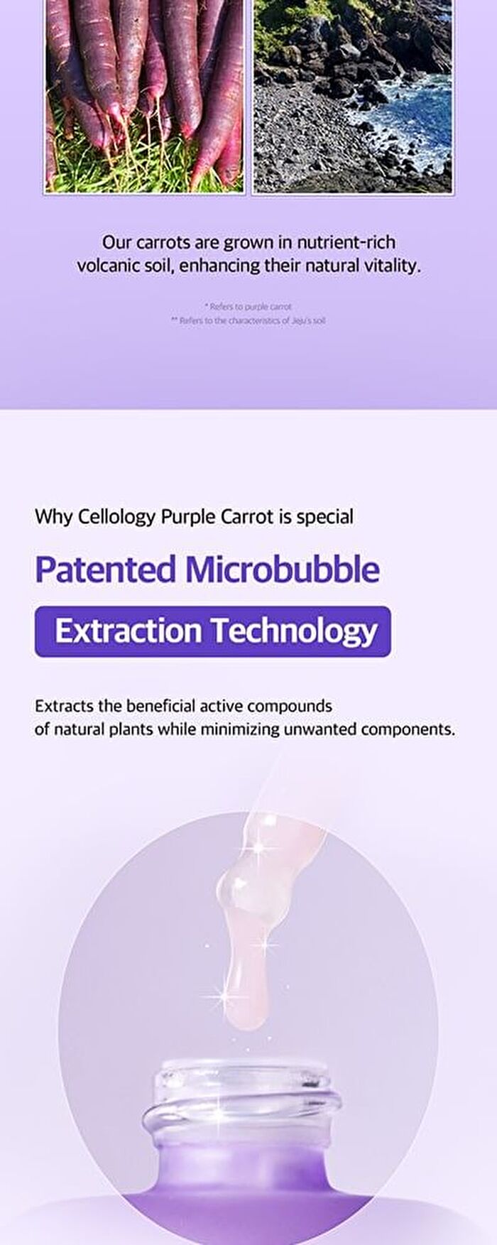 Purple Carrot Pore Ampoule - 30ml
