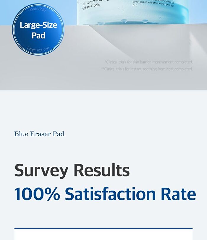 Blue Eraser Pad - 70 pads