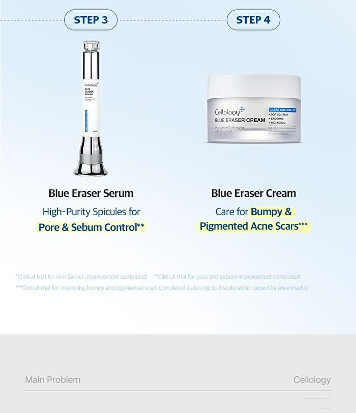Blue Eraser Pad - 70 pads