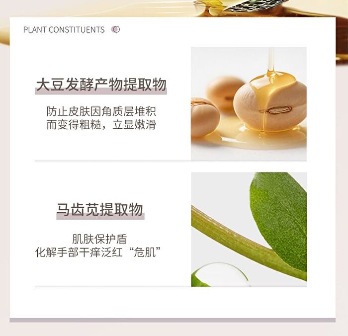 Moisturizing Perfumed Hand Cream - 3 Flavors - 01# Flowers - 60g