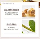 Moisturizing Perfumed Hand Cream - 3 Flavors - 01# Flowers - 60g