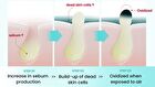 Super Melting Sebum Cleansing Oil - 2025 Version - 200ml