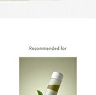 Jeju Matcha Tea Essence - 150ml