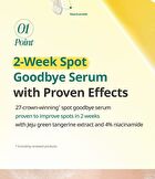 Green Tangerine Vita C Dark Spot Care Serum Alpha - 2025 Version - 40ml