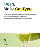 Green Tangerine Vita C Dark Spot Care Serum Alpha - 2025 Version - 40ml