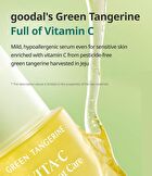 Green Tangerine Vita C Dark Spot Care Serum Alpha - 2025 Version - 40ml
