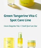 Green Tangerine Vita C Dark Spot Care Serum Alpha - 2025 Version - 40ml