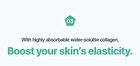 Green Collagen Boosting Gel - 2025 Version - 100ml