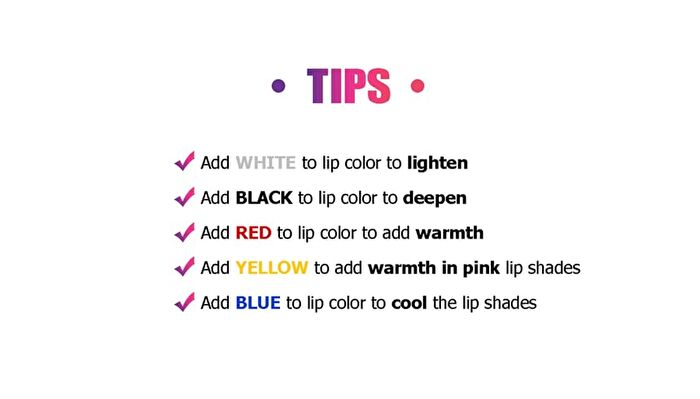 Freedom Creator Lip Palette - 2 Types - #FC102 Freedom Shimmer