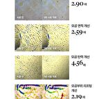 MDP+ Red Lacto Collagen Clear Foam Cleanser 2.0 - 120ml