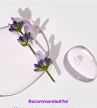 Lavender PDRN Revitalizing Toner Mini - 30ml