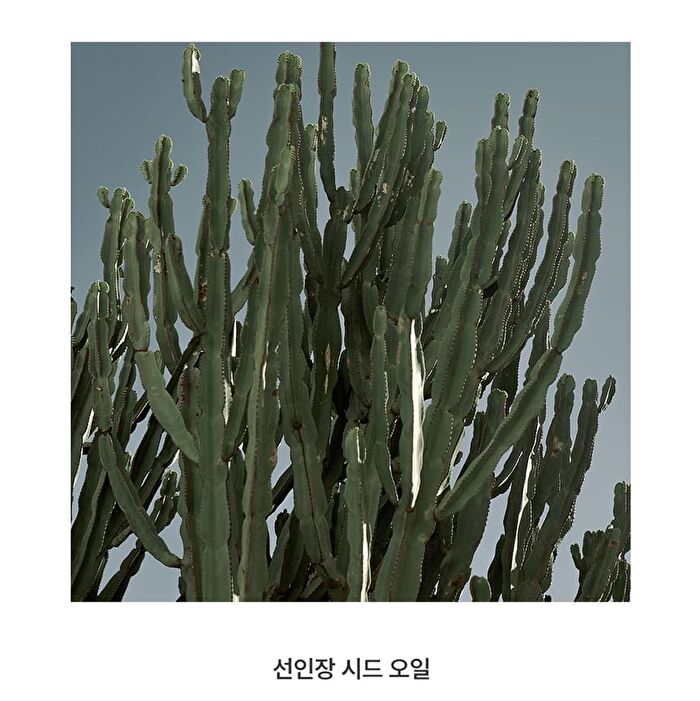 Sun Stick Watery Touch - 20g