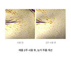 BioSIS 360 Cream - 30ml