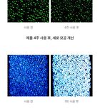 BioSIS 360 Wrapping Gel Mask Set - 35g x 5 sheets