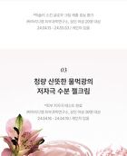 Skin Glow Cream Vita Radiance - 50ml