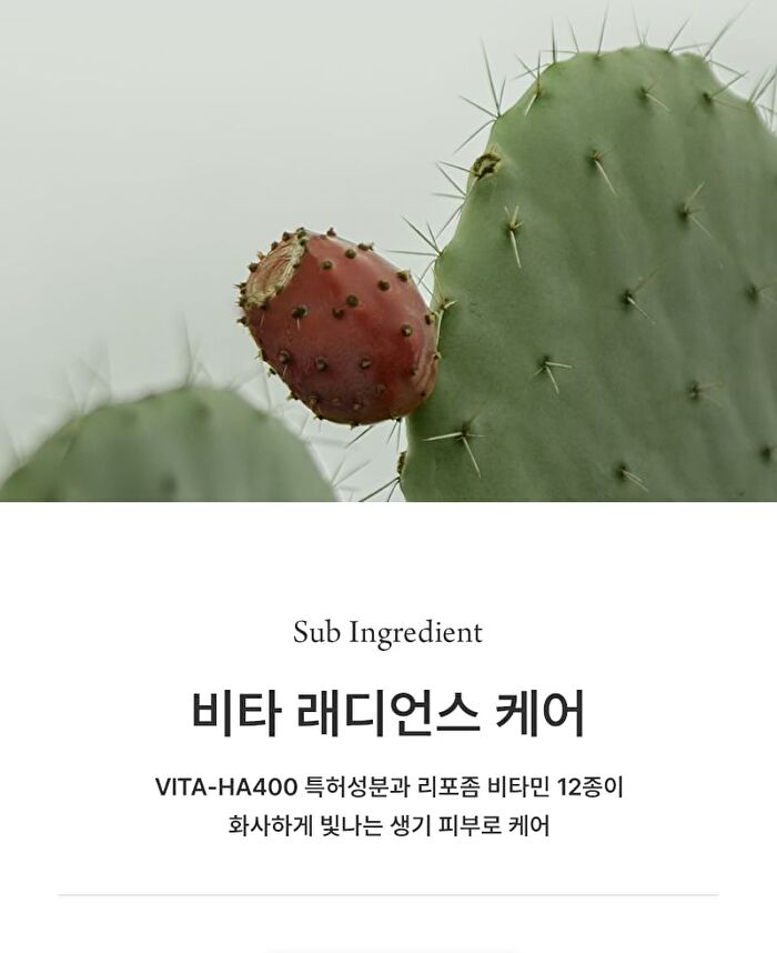 Skin Glow Cream Vita Radiance - 50ml