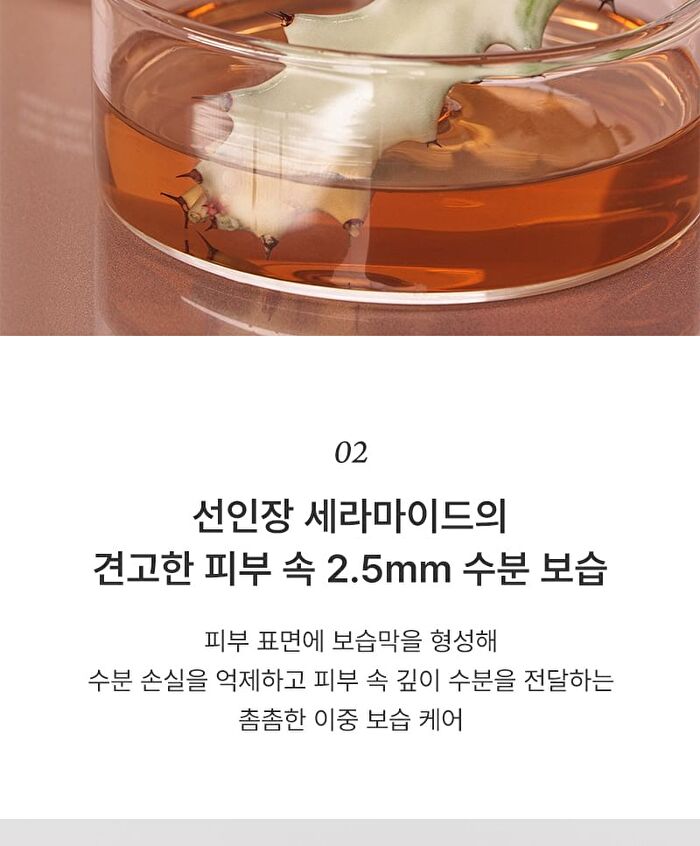Conditioning Cream Freeshape - 2026 Version - 50ml