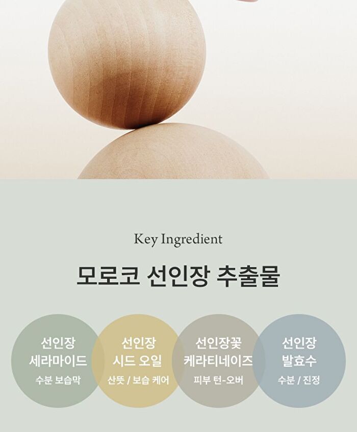 Conditioning Cream Freeshape - 2026 Version - 50ml